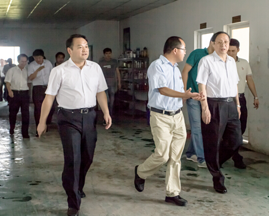 安徽省委副書記、省長王學(xué)軍蒞臨安徽柯力視察