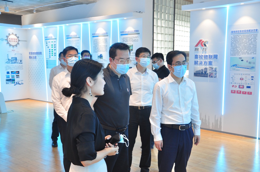寧波市江北區委書記張國鋒一行蒞臨柯力傳感考察調研