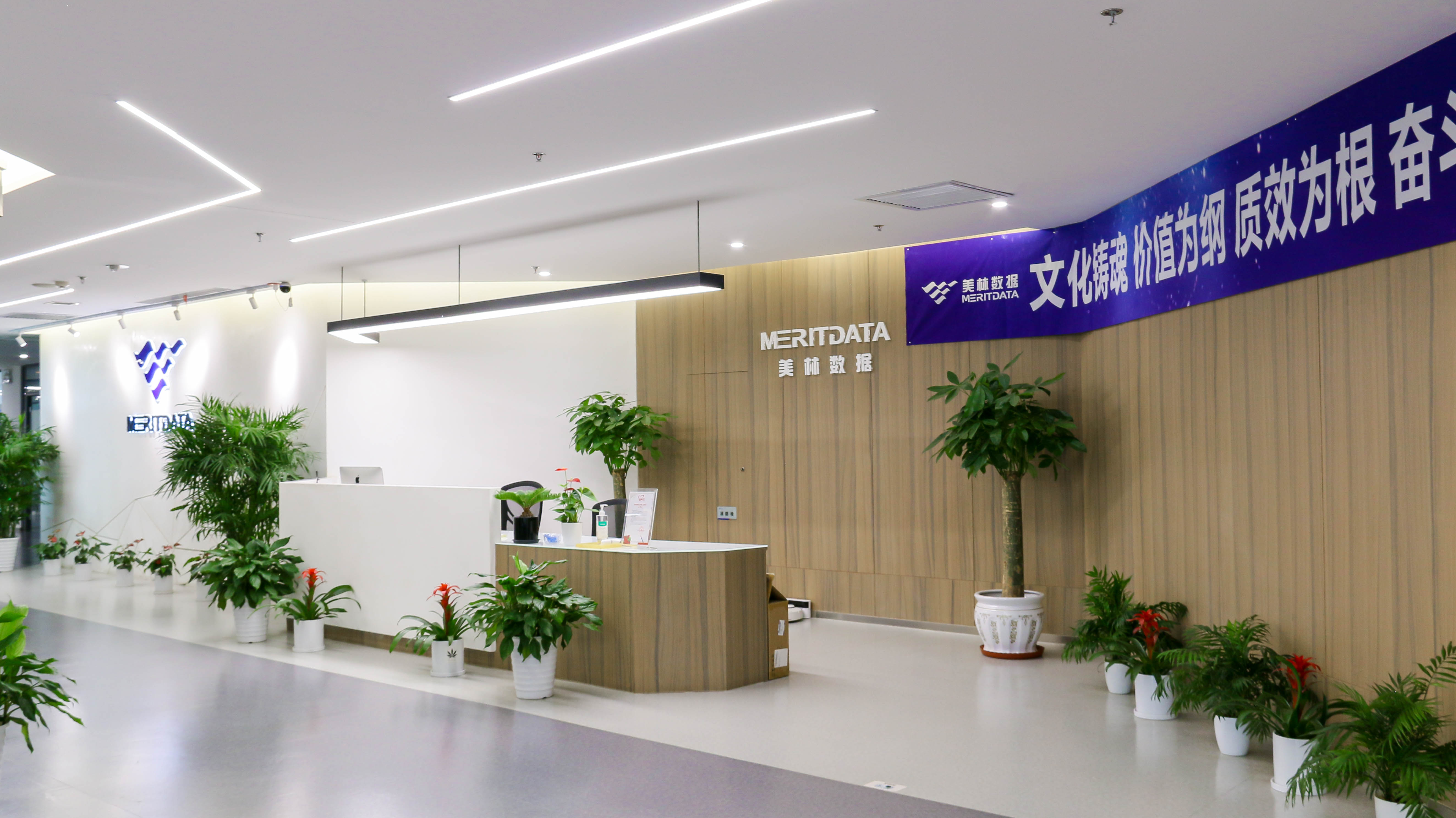 柯力傳感攜手美林數據 推動行業數字化戰略