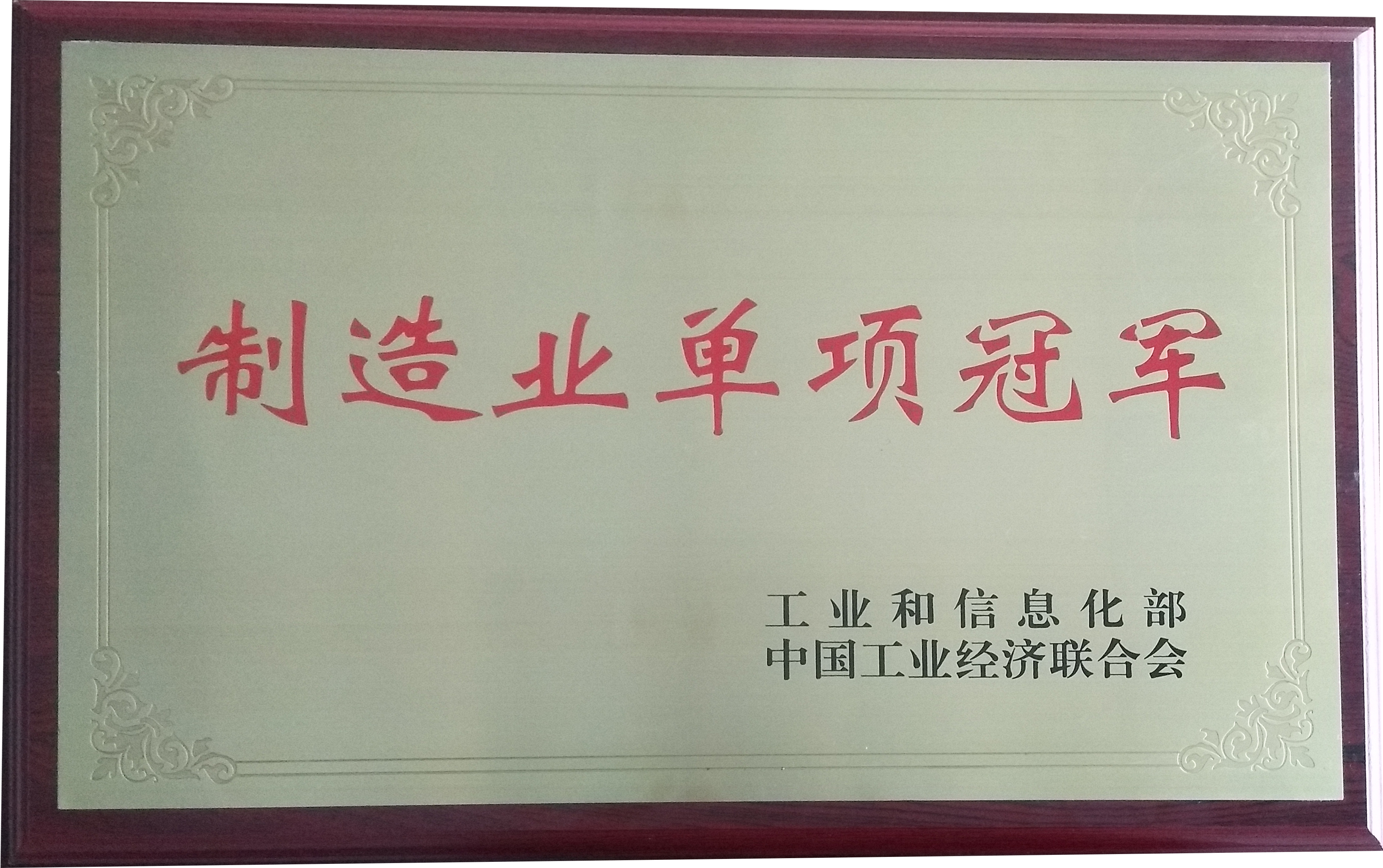 公司榮獲國家級制造業(yè)單項(xiàng)冠軍企業(yè)